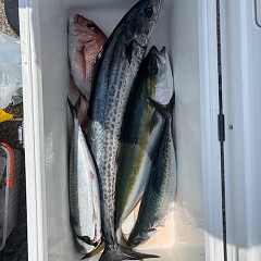 8月6日（水）午前便・タテ釣りの写真その7