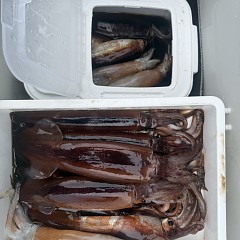 8月 7日（木）一日便・スルメイカ釣りの写真その11