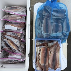 8月 9日（土）一日便・スルメイカ釣りの写真その9