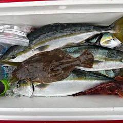 8月9日（土）午前・午後便・タテ釣りの写真その6
