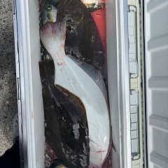 8月12日（火）午前便・タテ釣りの写真その9