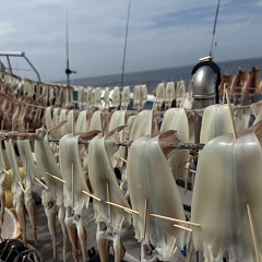 8月 13日（水）一日便・スルメイカ釣りの写真その5