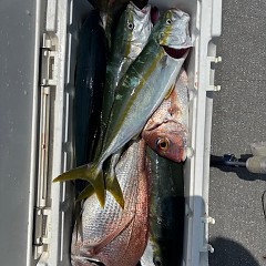 8月14日（木）午前便・タテ釣りの写真その9