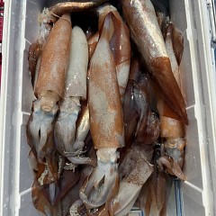 8月 15日（金）一日便・スルメイカ釣りの写真その11