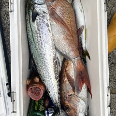 8月16日（土）午後便・タテ釣りの写真その3