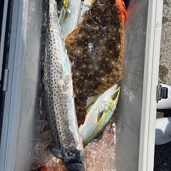 8月17日（日）午前便・タテ釣りの写真その7