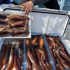 8月 17日（日）一日便・スルメイカ釣りの写真その9