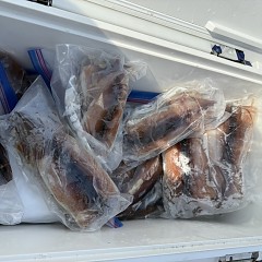 8月 17日（日）一日便・スルメイカ釣りの写真その12