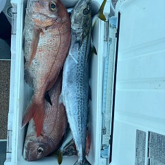 8月17日（日）午後便・タテ釣りの写真その5