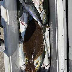 8月18日（月）タテ釣りの写真その1