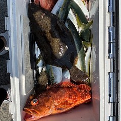 8月18日（月）タテ釣りの写真その2