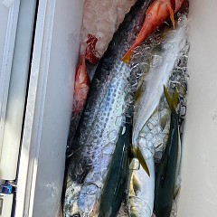 8月18日（月）タテ釣りの写真その4
