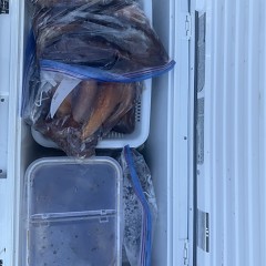 8月 21日（木）一日便・スルメイカ釣りの写真その9