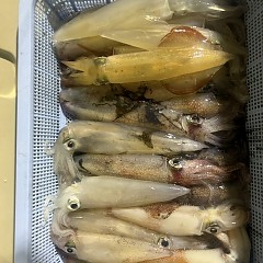 8月20日（水）18時半出船でアカイカ釣りの写真その8