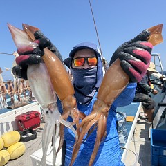 8月 20日（水）スルメイカ釣りの写真その1