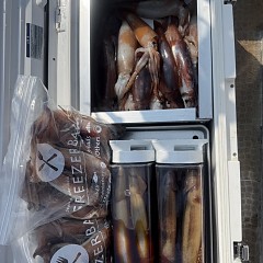 8月 24日（日）一日便・スルメイカ釣りの写真その9