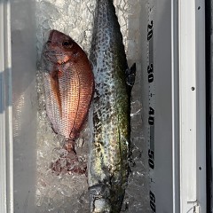 8月27日（水）午前便・タテ釣りの写真その8