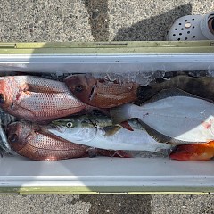 8月28日（木）午前便・タテ釣りの写真その5