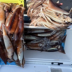 8月 28日（木）一日便・スルメイカ釣りの写真その8