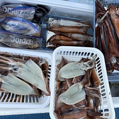8月 29日（金）一日便・スルメイカ釣りの写真その8