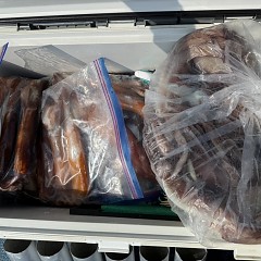 8月 29日（金）一日便・スルメイカ釣りの写真その9