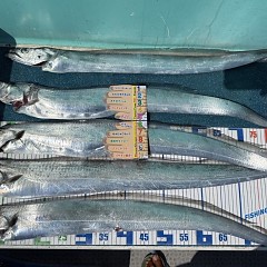 8月 30日（土）午前便・タチウオ釣りの写真その10