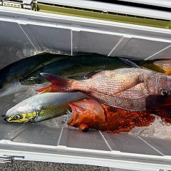 8月30日（土）午前便・タテ釣りの写真その8