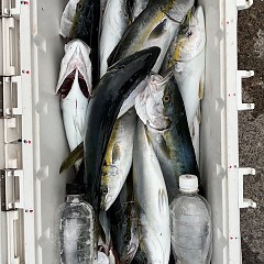 8月29日（金）午後便・タテ釣りの写真その6