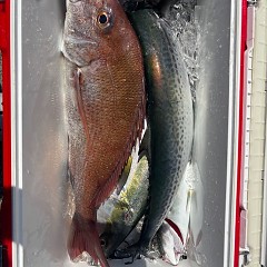 8月31日（日）午前便・タテ釣りの写真その6