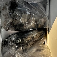 8月30日（土）半夜便・イカメタルの写真その3