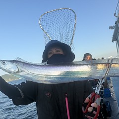 8月 31日（日）午前便・タチウオ釣りの写真その1