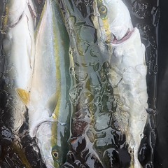 9月 6日（土）午後便・タテ釣りの写真その3