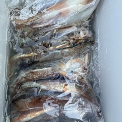9月 7日（日）一日便・スルメイカ釣りの写真その11