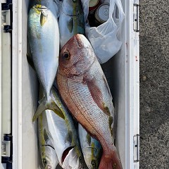 9月8日（月）午前便・午後便・タテ釣りの写真その8