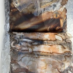 9月 9日（火）一日便・スルメイカ釣りの写真その11