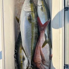 9月9日（火）タテ釣りの写真その1