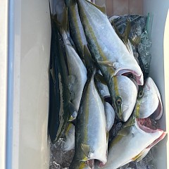 9月9日（火）タテ釣りの写真その2