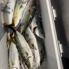9月 10日（水）午前便・タテ釣りの写真その12