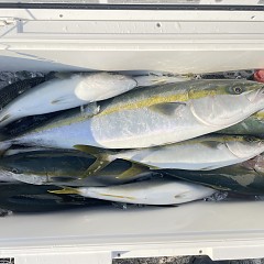 9月9日（火）タテ釣りの写真その4