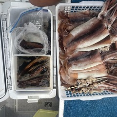 9月 11日（木）1日便・スルメイカ釣りの写真その6