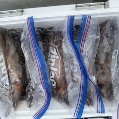 9月 12日（金）一日便・スルメイカ釣りの写真その3