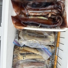 9月 12日（金）一日便・スルメイカ釣りの写真その7