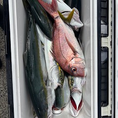 9月12日（金）の写真その5