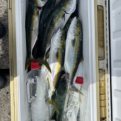 9月12日（金）の写真その6