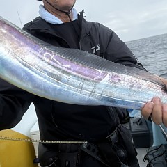 9月 13日（土）午前便・タチウオ釣りの写真その7
