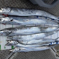 9月 13日（土）午前便・タチウオ釣りの写真その11