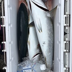 9月13日（土）午前便・タテ釣りの写真その7