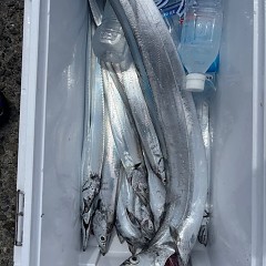 9月14日（日）午前便・タチウオ釣りの写真その7