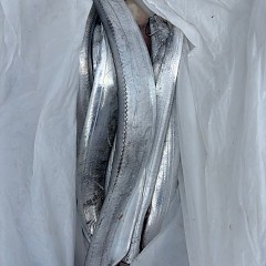 9月14日（日）午前便・タチウオ釣りの写真その8