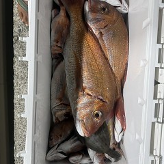 9月17日（水）午後便・ウタセマダイ釣りの写真その4